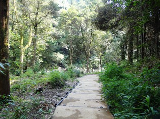 霧島神水峡遊歩道1