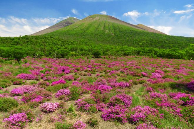 鹿ケ原