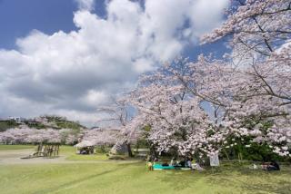 丸岡公園