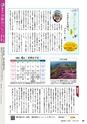 霧島市議会だより令和4年5月号_No66