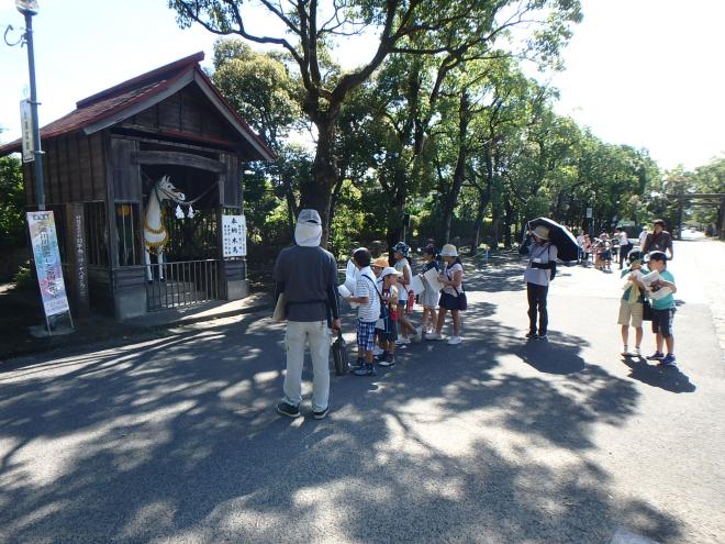 神社の動物さがし